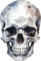 Skull Watercolor Illustration. AI Generated png