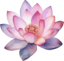 Lotus Flower Watercolor Illustration. AI Generated png