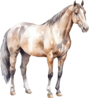 Horse Watercolor Illustration. AI Generated png