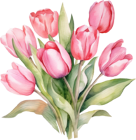 Rosa Tulpe Strauß Blumen Aquarell. ai generiert png