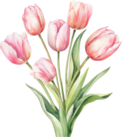 rosa tulipano mazzo fiori acquerello. ai generato png