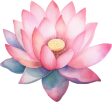 lotus bloem waterverf illustratie. ai gegenereerd png