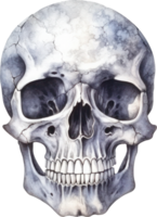 Skull Watercolor Illustration. AI Generated png