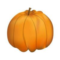 Pumpkin. Element for design isolated on white background. vector