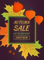 Autumn sale banner. Hello autumn. Autumn maple leaves with branch of physalis. vector