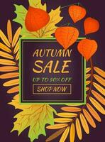 Autumn sale banner. Hello autumn. Autumn maple leaves, rowan leaves with branch of physalis vector