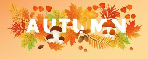 Hello autumn. Autumn leaves with mushrooms, cep, physalis. Sale banners, postcard, poster. vector