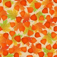 Seamless pattern with hand drawn branch with physalis and maple leaves. vector
