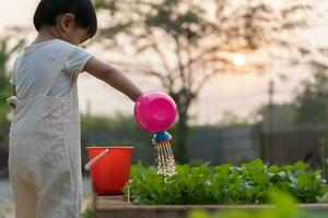 orgánico agricultura a hogar, orgánico vegetal granja. niños riego orgánico vegetales . no tóxico vegetal crecer naturalmente. invernadero jardín, ecológico biológico, saludable, vegetariano, ecología foto