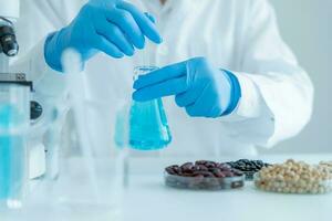 Scientist check chemical whole grains residues in laboratory. Control experts inspect the concentration of chemical residues. hazards, standard, prohibited substances, contaminate, Microbiologist photo