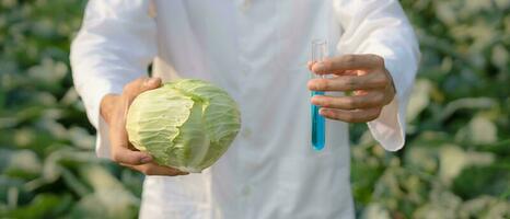 Scientist check chemical food residues on outdoor. Control experts inspect quality of fruits, vegetables. lab, hazards, ROHs, find prohibited substances, contaminate, Microscope, Microbiologist photo