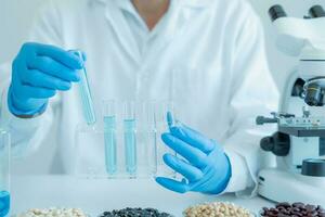 Scientist check chemical whole grains residues in laboratory. Control experts inspect the concentration of chemical residues. hazards, standard, prohibited substances, contaminate, Microbiologist photo