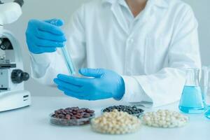 Scientist check chemical whole grains residues in laboratory. Control experts inspect the concentration of chemical residues. hazards, standard, prohibited substances, contaminate, Microbiologist photo