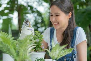 gardening home. woman replanting green tree in home garden. flowerpots as hobby and relax. plant sales, house garden, jungle, gardener, flower decoration, freelance, home jungle,Garden, Floral decor. photo