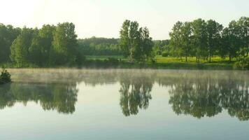 paisagem de timelapse com neblina matinal no lago da floresta video