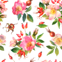 Watercolor illustration. Seamless pattern of rose hips flowers, leaves, berries on a transparent background. Seamless design of ripe rose hips for fabric, paper, printing, etc. png