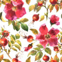 acquerello illustrazione. senza soluzione di continuità modello di rosa fianchi fiori, foglie, frutti di bosco su un' trasparente sfondo. senza soluzione di continuità design di maturo rosa fianchi per tessuto, carta, stampa, eccetera. png