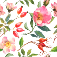 Watercolor illustration. Seamless pattern of rose hips flowers, leaves, berries on a transparent  background. Seamless design of ripe rose hips for fabric, paper, printing, etc. png