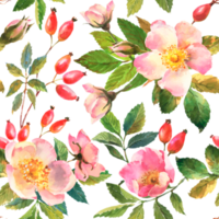 Watercolor illustration. Seamless pattern of rose hips flowers, leaves, berries on a  transparent background. Seamless design of ripe rose hips for fabric, paper, printing, etc. png