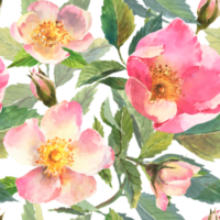 Aquarell Illustration. nahtlos Muster von Rose Hüften Blumen, Blätter, Beeren auf ein transparent Hintergrund. nahtlos Design von reif Rose Hüften zum Stoff, Papier, Drucken, usw. png