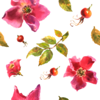 Watercolor illustration. Seamless pattern of rose hips on a transparent background. png