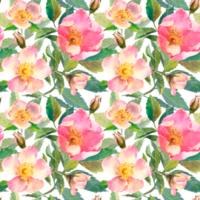 Aquarell Illustration. nahtlos Muster von Rose Hüften Blumen, Blätter, Beeren auf ein transparent Hintergrund. nahtlos Design von reif Rose Hüften zum Stoff, Papier, Drucken png