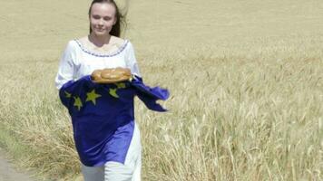 jong dame brengen een brood wandelen in de midden- van de weg Aan de tarwe veld- video