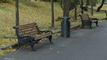 Grün Gras bedeckt durch dehydriert Blätter gerührt durch Herbst Wind. schleppend Bewegung video