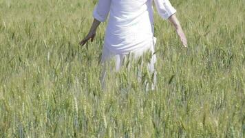 Jeune Dame dans le milieu de le blé champ video