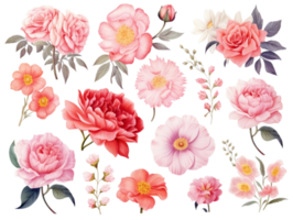 coleção do aguarela floral arranjos para cumprimento cartões, convites, trabalhos manuais, e diários. ai gerado png