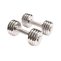 Two gray dumbbells, Dumbbell Physical exercise, Dumbbells Generative Ai png