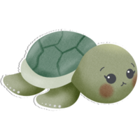 encantador pequeño Tortuga png