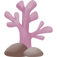 Lovely sea creature png