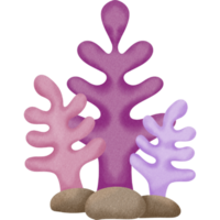 Lovely sea creature png