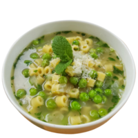 Spring Minestrone Soup png