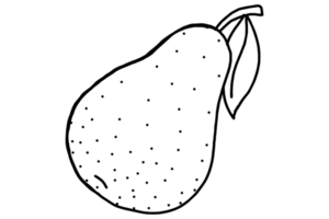 Coloring Fruit Illustration - pear png