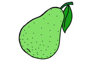 Fruit Illustration - pear png