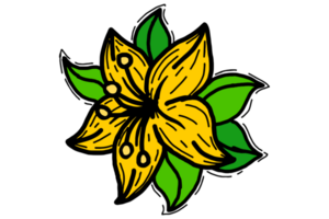 printemps fleur illustration - Jaune lis fleur png