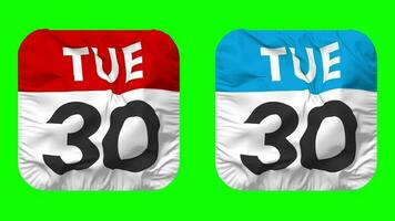 Thirtieth, 30th Tuesday Date Calendar Seamless Looping Squire Cloth Icon, Looped Plain Fabric Texture Waving Slow Motion, 3D Rendering, Green Screen, Alpha Matte video