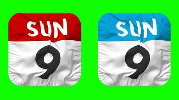 Ninth, 9th Sunday Date Calendar Seamless Looping Squire Cloth Icon, Looped Plain Fabric Texture Waving Slow Motion, 3D Rendering, Green Screen, Alpha Matte video