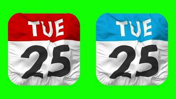 Twenty Fifth, 25th Tuesday Date Calendar Seamless Looping Squire Cloth Icon, Looped Plain Fabric Texture Waving Slow Motion, 3D Rendering, Green Screen, Alpha Matte video