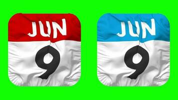 Ninth, 9th June Date Calendar Seamless Looping Squire Cloth Icon, Looped Plain Fabric Texture Waving Slow Motion, 3D Rendering, Green Screen, Alpha Matte video