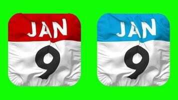 Ninth, 9th January Date Calendar Seamless Looping Squire Cloth Icon, Looped Plain Fabric Texture Waving Slow Motion, 3D Rendering, Green Screen, Alpha Matte video