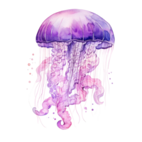 Watercolor Jelly Fish Isolated. Illustration AI Generative png