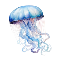 Watercolor Jelly Fish Isolated. Illustration AI Generative png