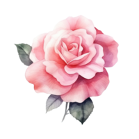 Cute watercolor rose flower. Illustration AI Generative png