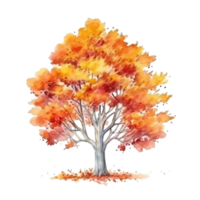 Aquarell Herbst Baum. Illustration generativ ai png