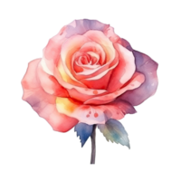 fofa aguarela rosa flor. ilustração ai generativo png