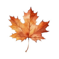 Watercolor Autumn Leaf. Illustration AI Generative png