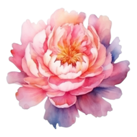 Cute watercolor peony flower. Illustration AI Generative png